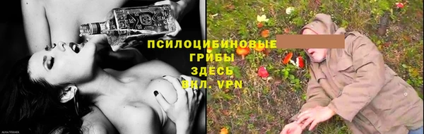 спайс Богданович