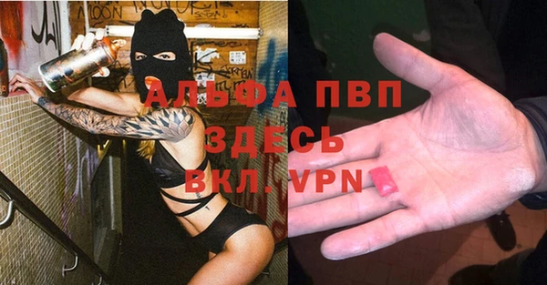 спайс Богданович