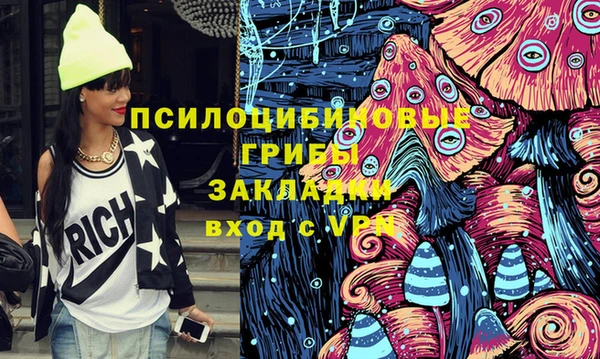 спайс Богданович