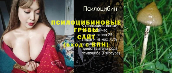 спайс Богданович