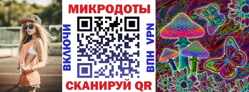 Галлюциногенные грибы Psilocybe  купить наркоту  ссылка на мегу ONION  Махачкала 